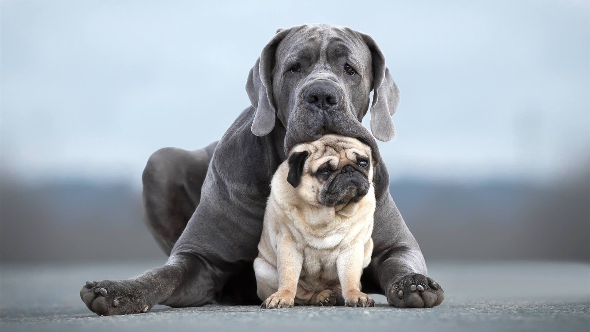 爱游戏娱乐网址-国家级足球运动推广示范区在多地建设，普及基层足球运动，全国足球示范城市