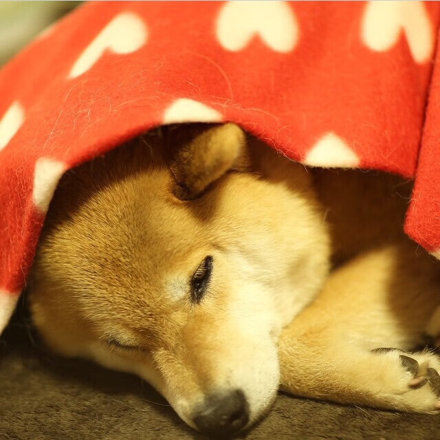 爱游戏官网-特色篮球赛事加入“体育+旅游”创新发展战略，篮球特色活动