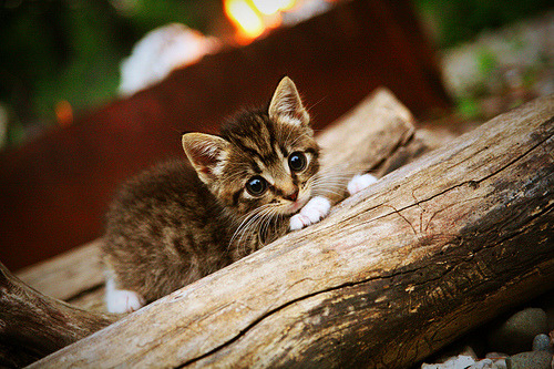 爱游戏体育（AYX）官方APP下载-逆转奇迹：那些让人热血沸腾的比赛瞬间，逆转2021