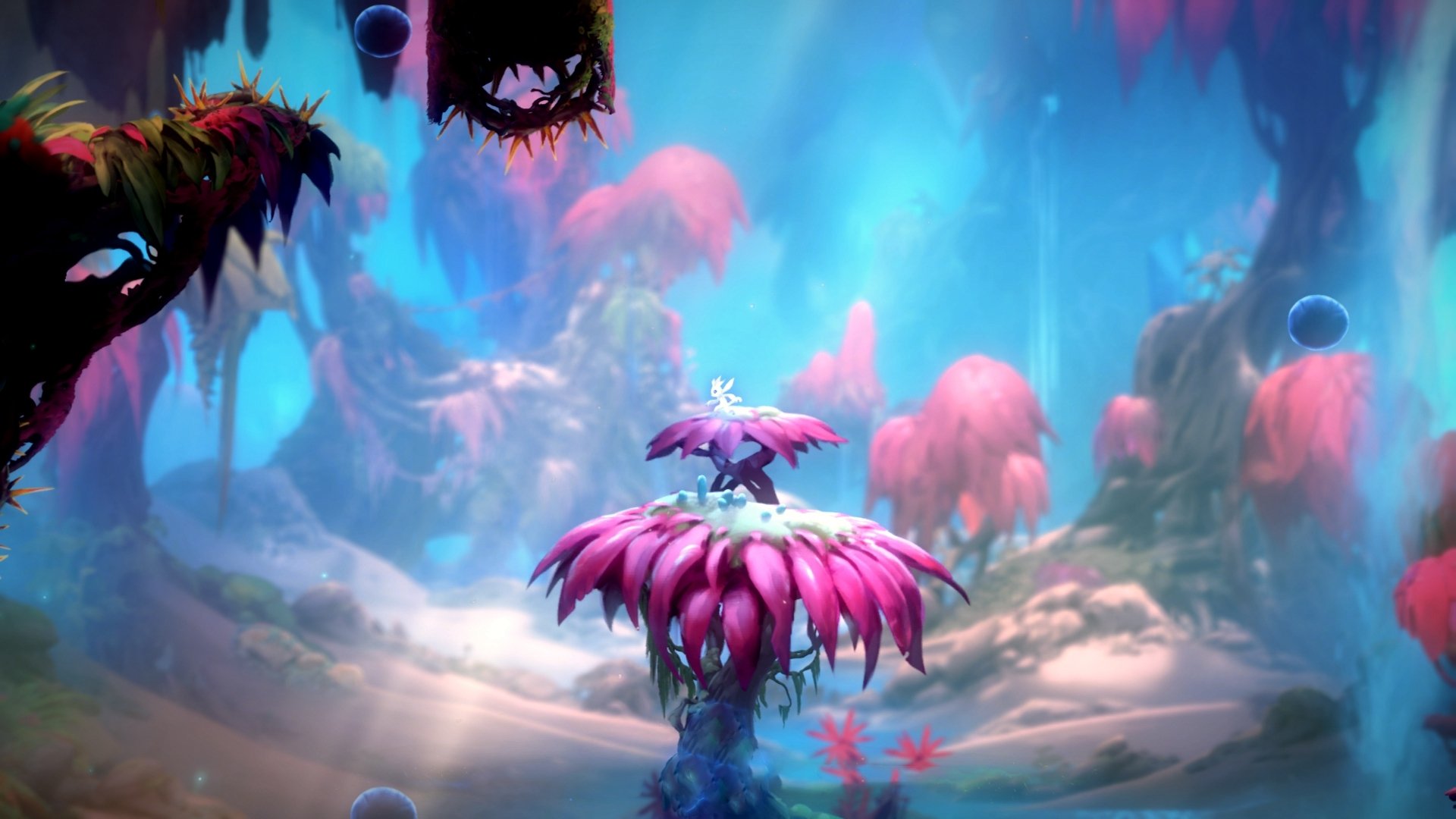 爱游戏体育app-德国骑手多米安·米歇尔斯在2024年巴黎奥运会盛装舞步比赛中以“Dante”马匹获得第六名，展现坚韧精神。