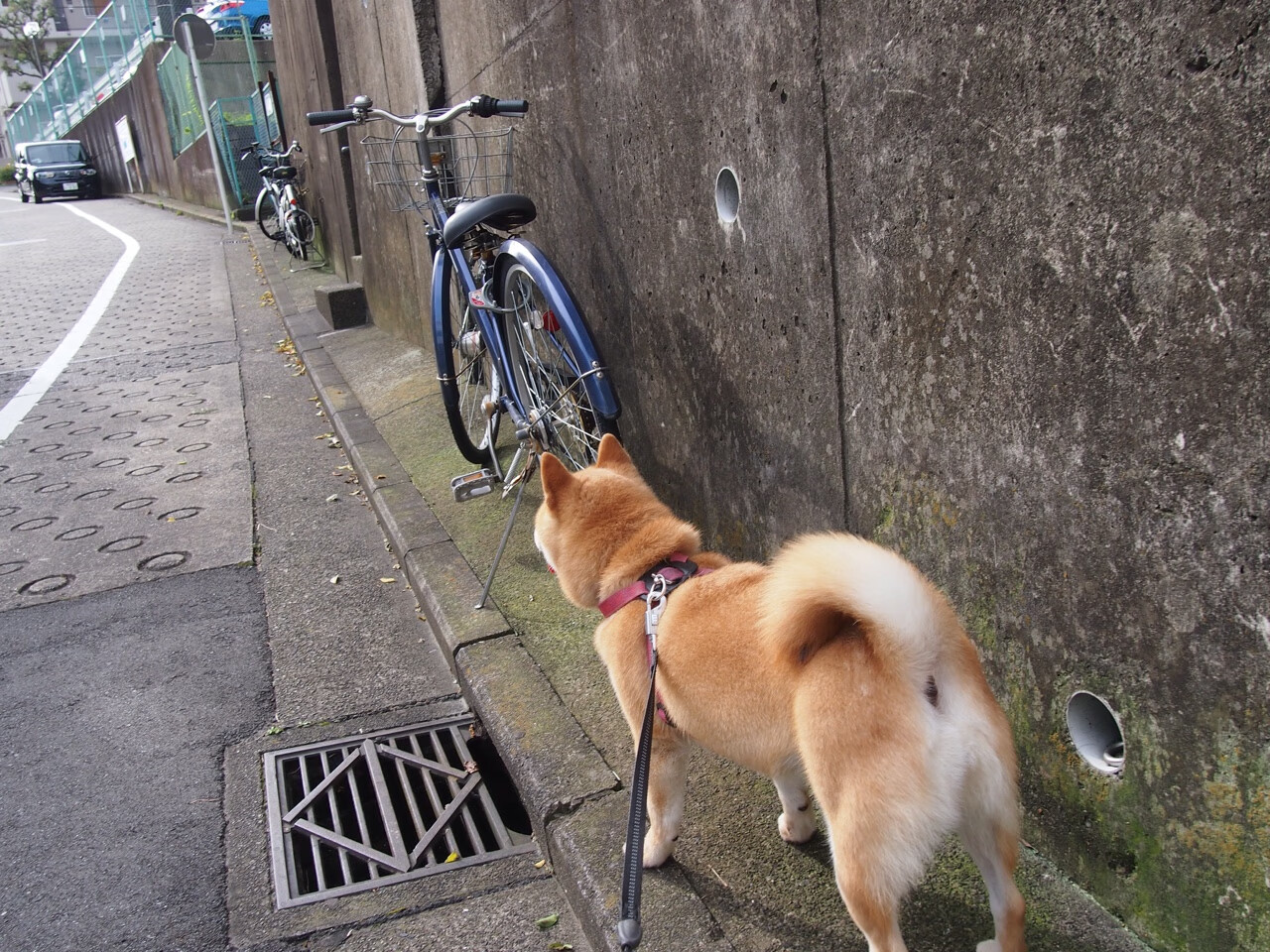 爱游戏中国官方登录入口网站-球员心理辅导资源缺乏专业性